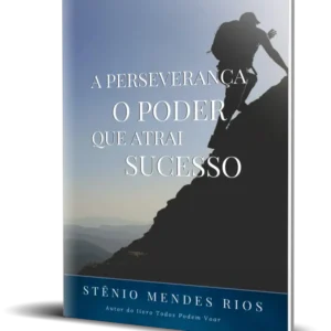 A Perseverançao Poderque Atrai Sucesso